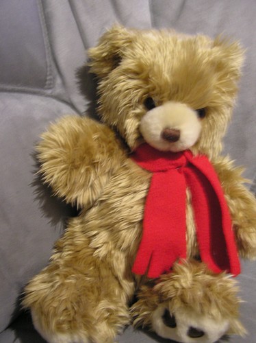 Teddy bauer 90431 nürnberg - teddy,
