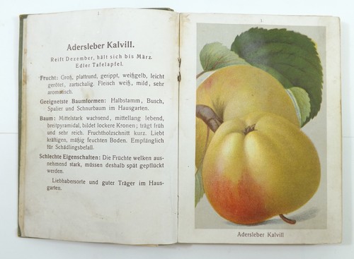 Württembergs apfelsorten - württembergs,